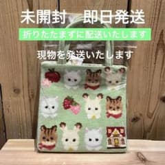 m96607485829_1.jpg?1738993370