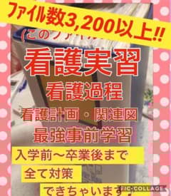 m93380703488_1.jpg?1609508583