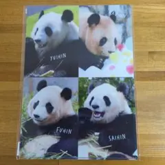 2026年最新】アドベンチャーワールド クリアファイルの人気アイテム