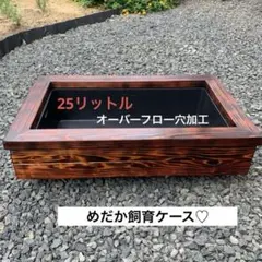 2026年最新】メダカ木枠の人気アイテム - メルカリ