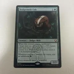 2026年最新】アナグマモグラの仔の人気アイテム - メルカリ