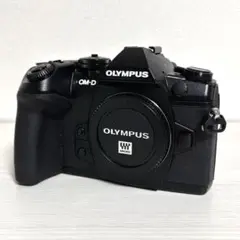 2026年最新】Olympus om-d e-m1 mark iiの人気アイテム - メルカリ