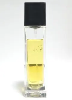 2026年最新】グッチエンヴィの人気アイテム - メルカリ