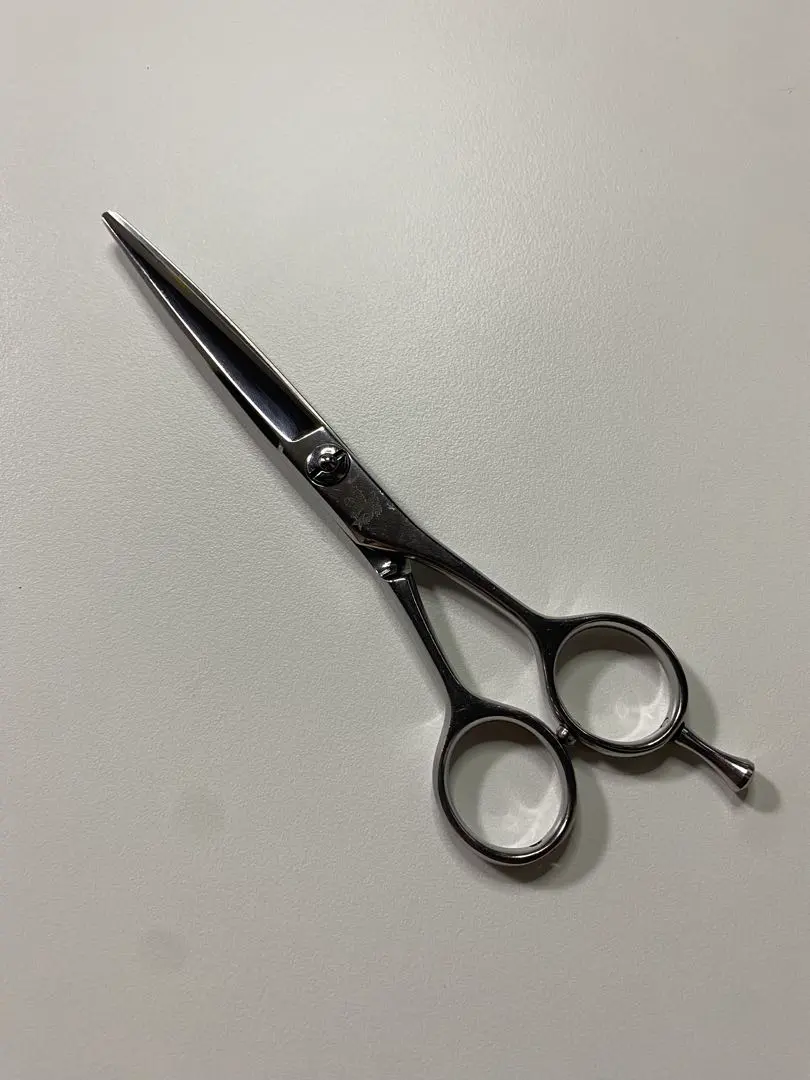 2026年最新】トラックス シザーの人気アイテム - メルカリ