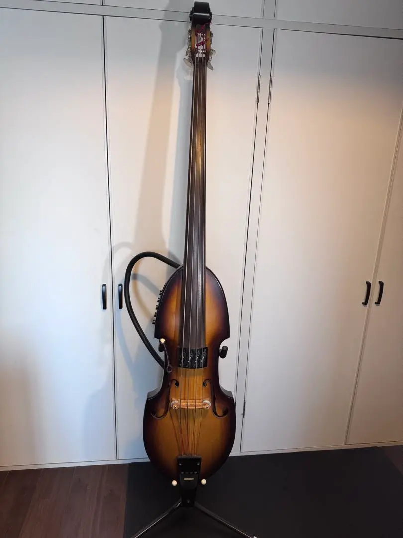 2026年最新】ARIA SWB-04の人気アイテム - メルカリ