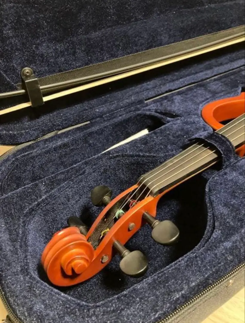 2026年最新】エレキバイオリン Valenteの人気アイテム - メルカリ