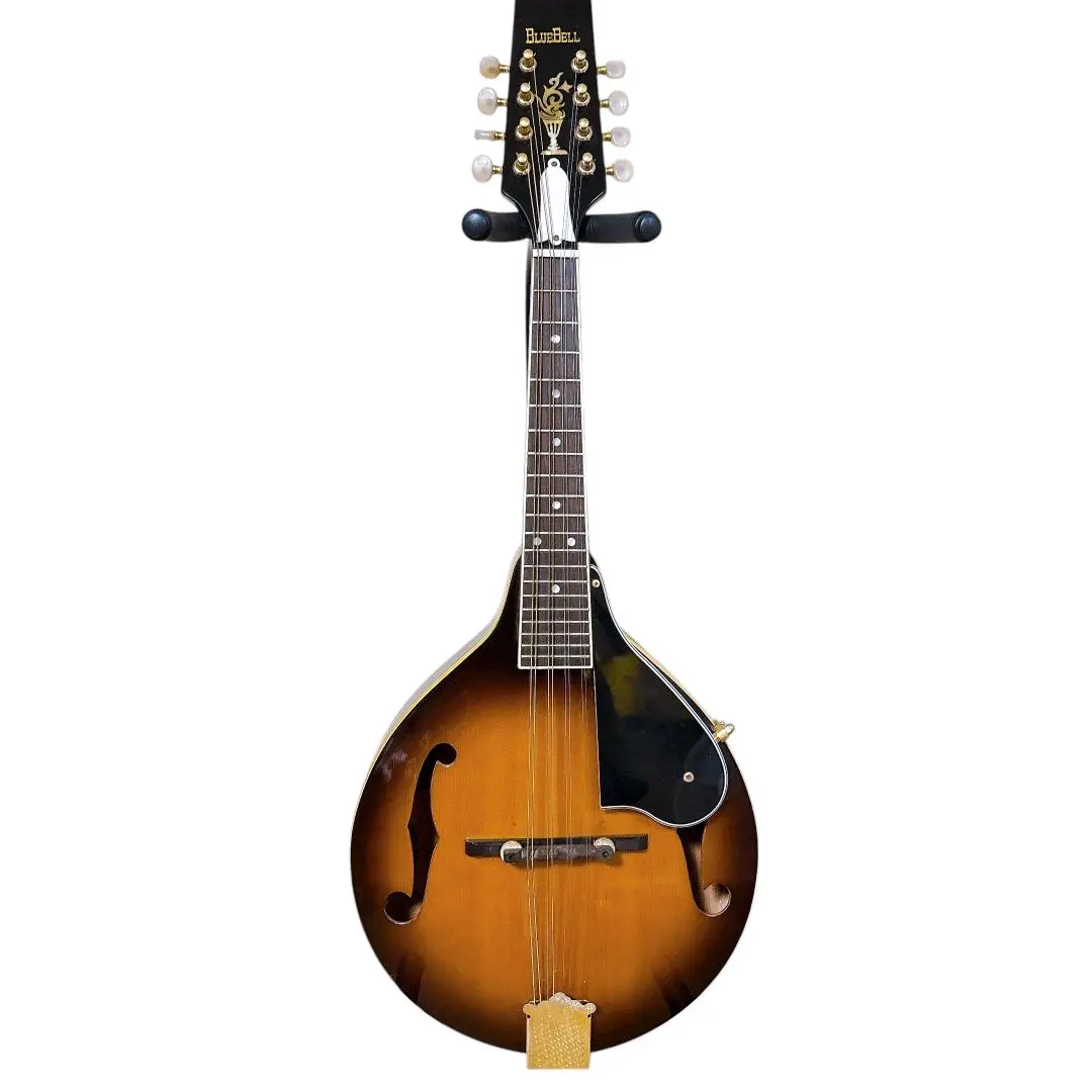 2026年最新】フラットマンドリンの人気アイテム - メルカリ