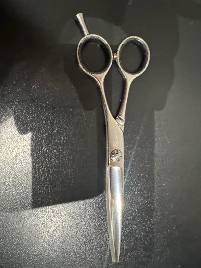 2026年最新】サイキシザーの人気アイテム - メルカリ