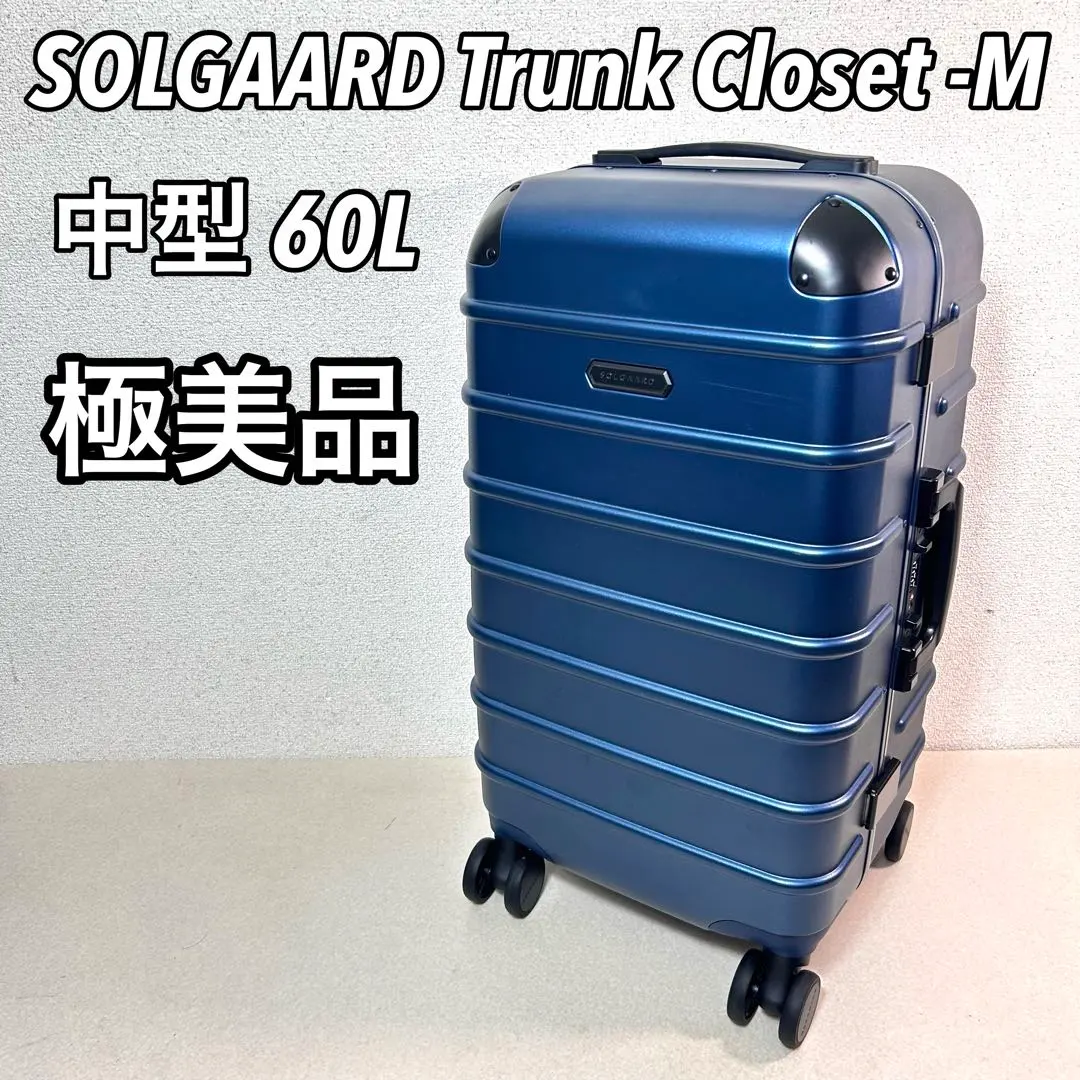 2026年最新】SOLGAARD Trunk Closet -L 大容量 91Lの人気アイテム