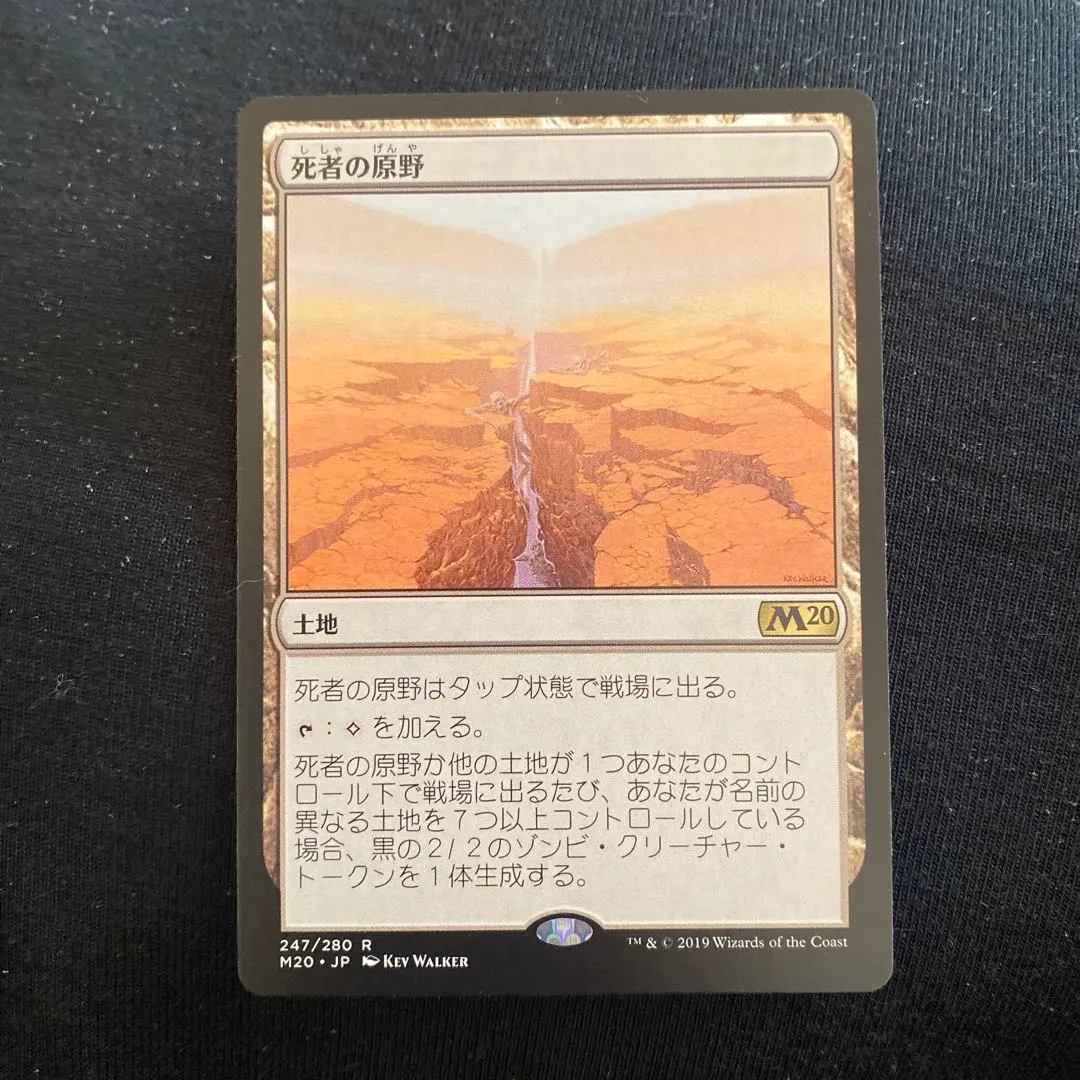 2026年最新】MTG 死者の原野の人気アイテム - メルカリ