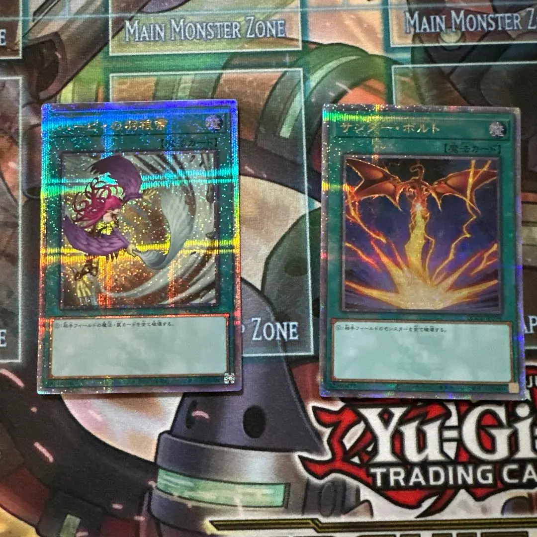 2026年最新】ハーピィの羽根帚 25thの人気アイテム - メルカリ