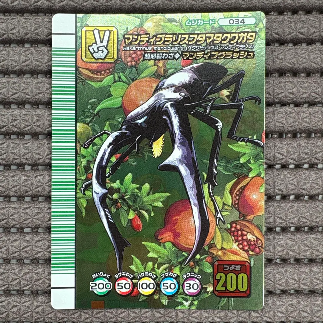 2026年最新】マンディブクラッシュの人気アイテム - メルカリ