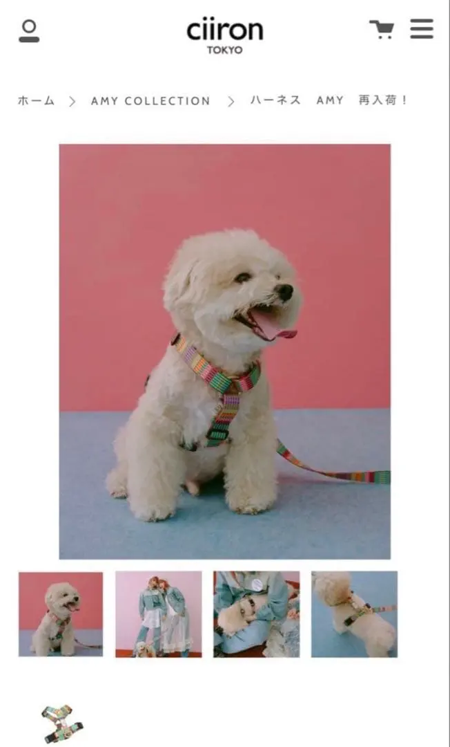 2026年最新】ciiron TOKYO ハーネスの人気アイテム - メルカリ