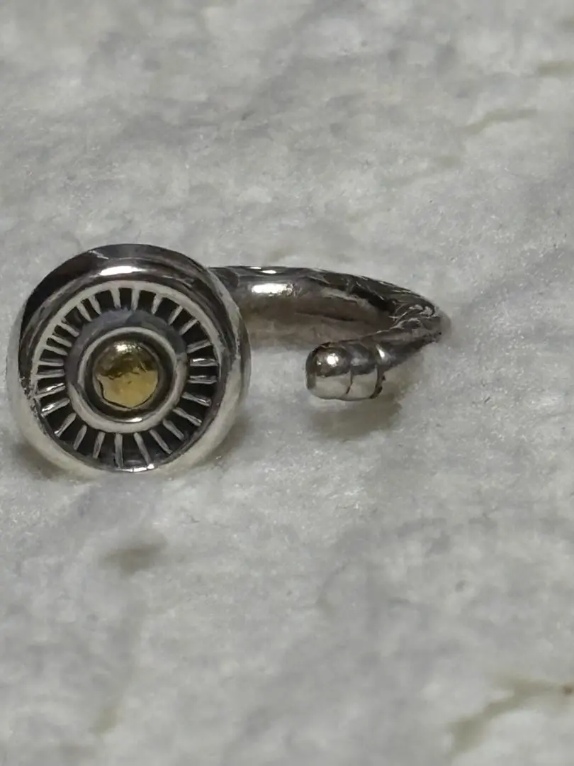 2026年最新】あるじゃん祐天寺 ピアスの人気アイテム - メルカリ