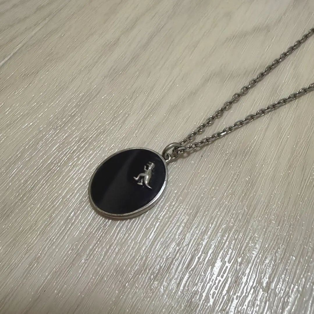 2026年最新】coach ネックレス レキシーの人気アイテム - メルカリ