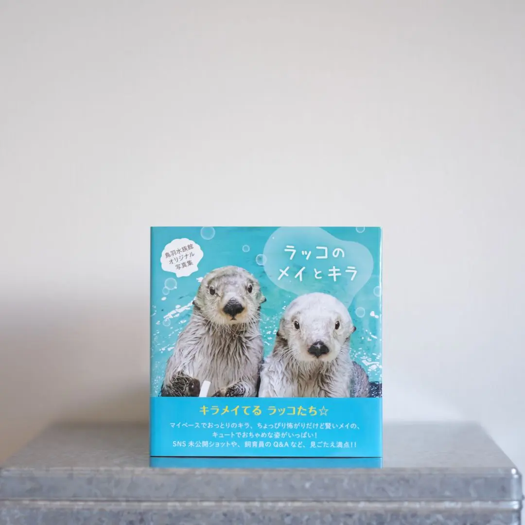 2026年最新】ラッコのメイ 写真集の人気アイテム - メルカリ