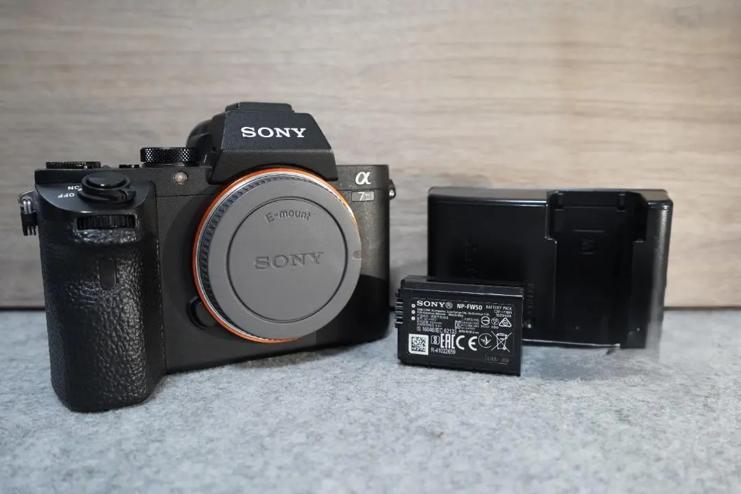 2026年最新】sony a7 ii ilce-7m2の人気アイテム - メルカリ
