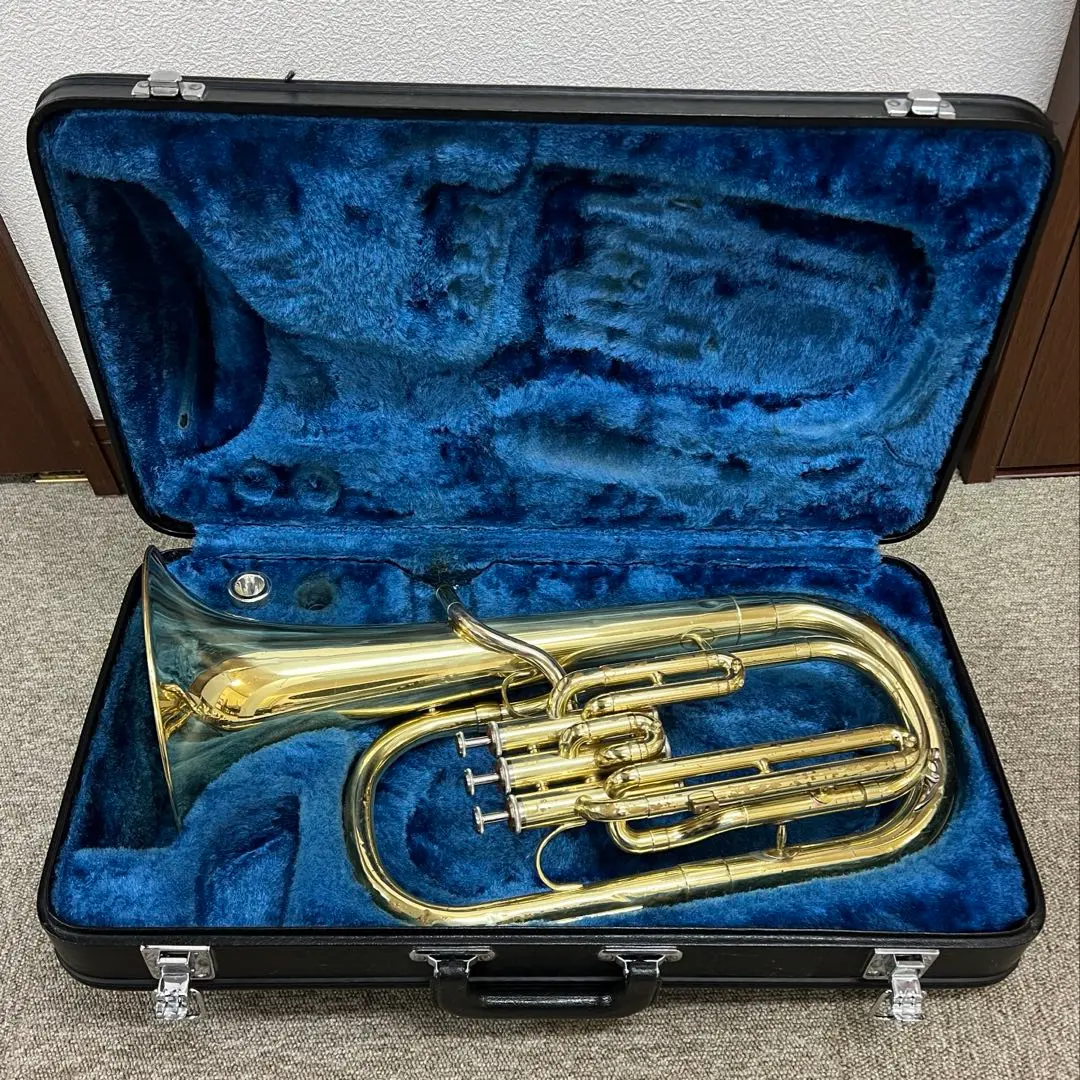 2026年最新】アルトホルン本体の人気アイテム - メルカリ
