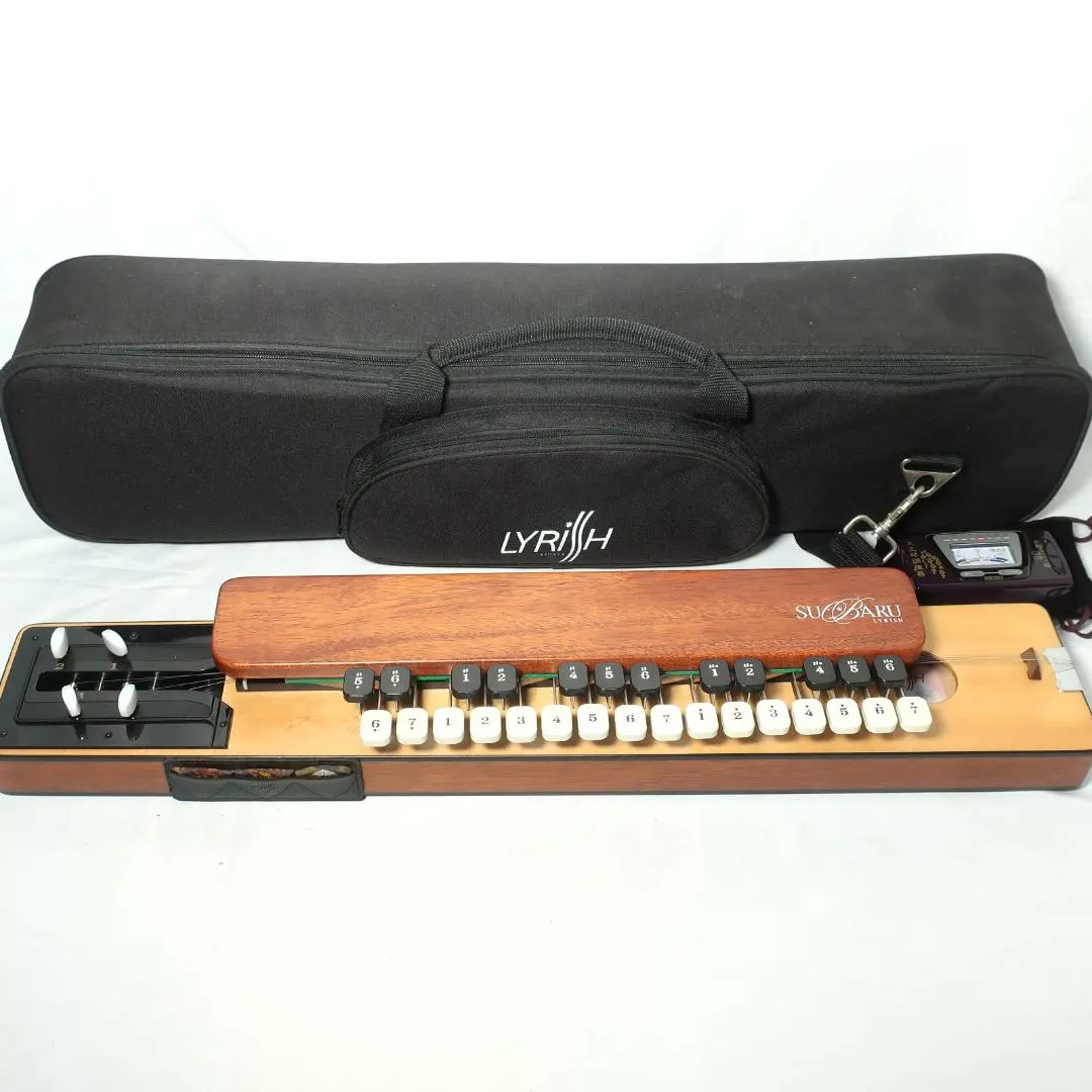 2026年最新】大正琴ライリッシュの人気アイテム - メルカリ