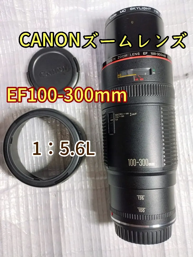 2026年最新】EF 100-300mm F5.6 Lの人気アイテム - メルカリ