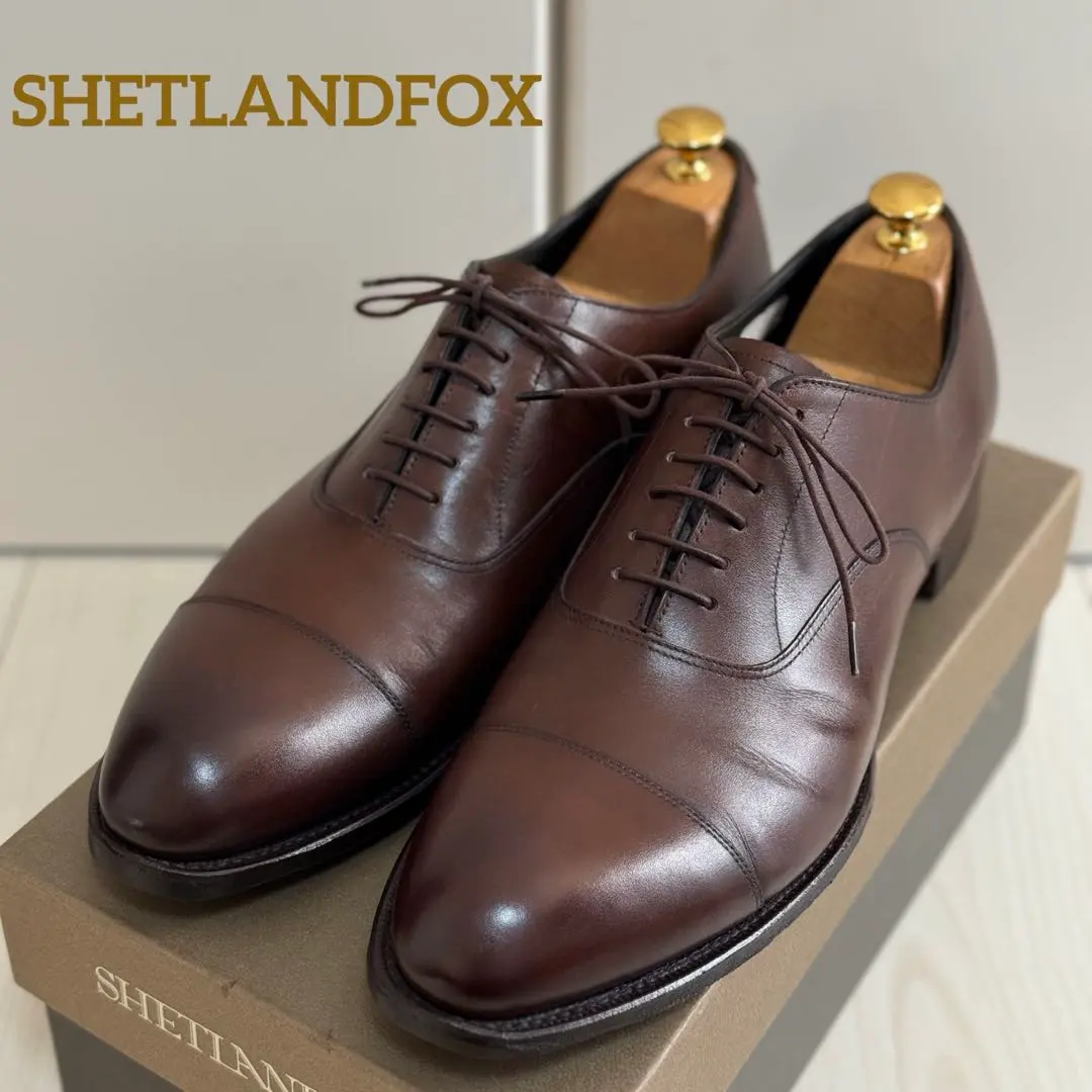 2026年最新】シェットランドフォックス ケンジントンの人気アイテム