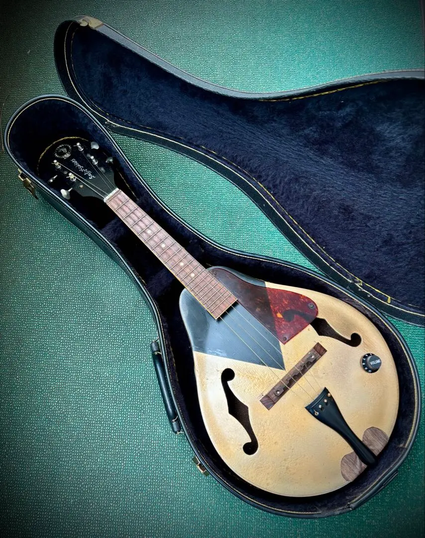 2026年最新】cavaquinhoの人気アイテム - メルカリ