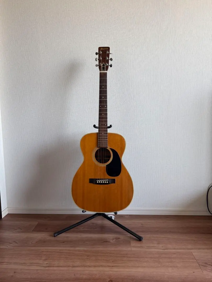 2026年最新】MORRIS ギター F-20の人気アイテム - メルカリ