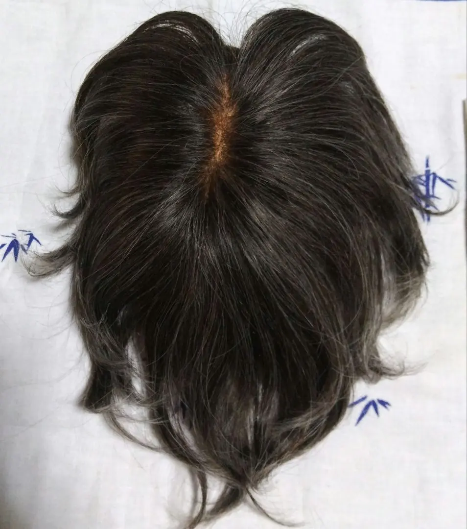 2026年最新】アートネイチャ 部分ウィッグの人気アイテム - メルカリ