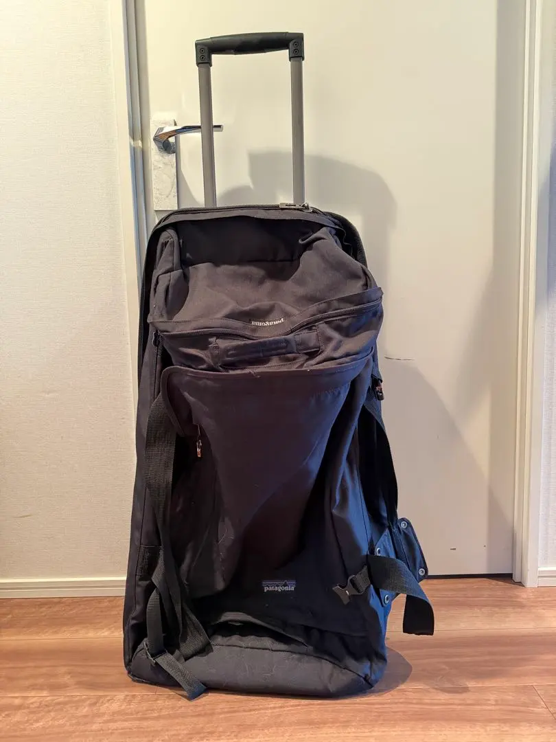 2026年最新】パタゴニア Freewheelerの人気アイテム - メルカリ