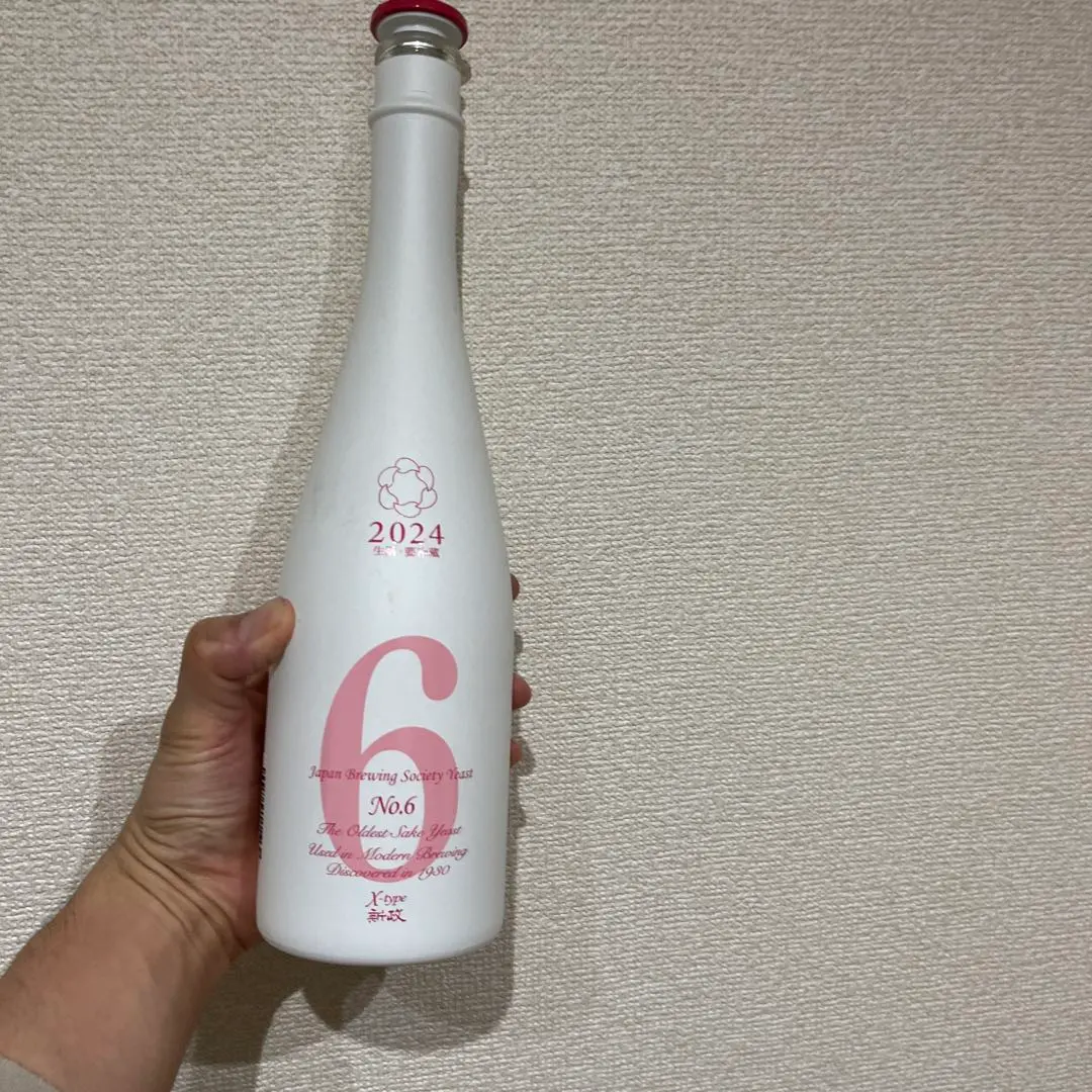 2026年最新】新政 no.6 xタイプの人気アイテム - メルカリ