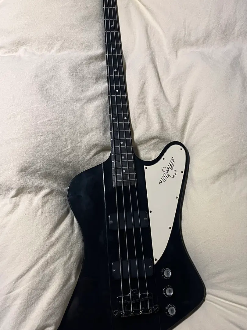 2026年最新】gibson thunderbirdの人気アイテム - メルカリ