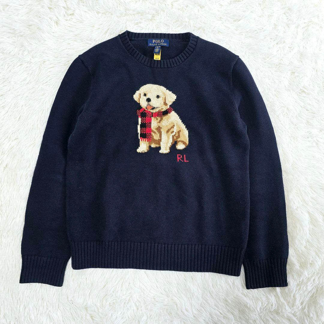 美品 ポロラルフローレン 犬 ゴールデンレトリバー ニット ネイビー