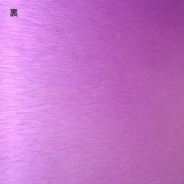 ニコラ・テスラ ポジティブエナジー・パープルプレート L 電磁波対策