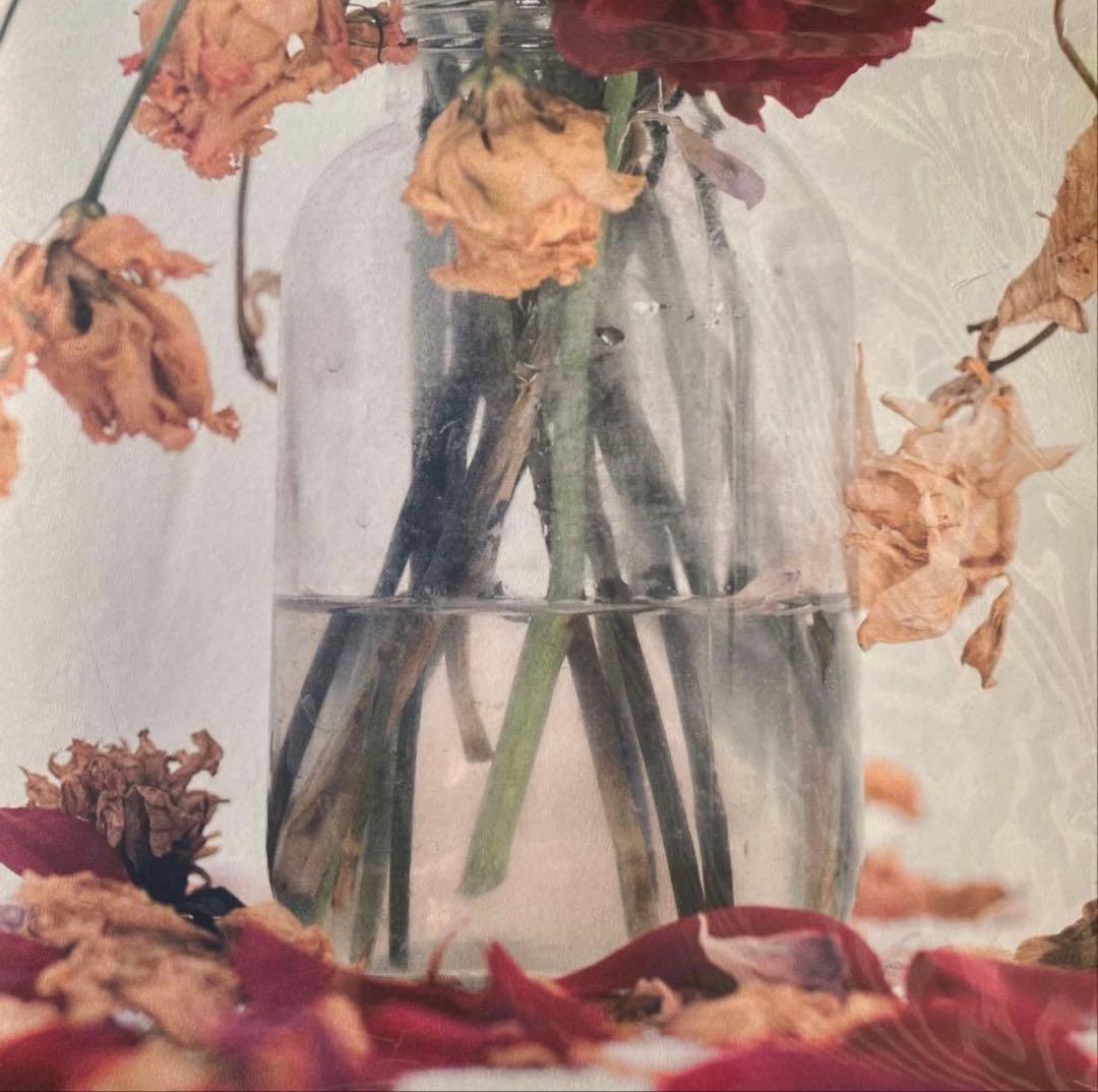 唾奇 Camellia LP (2 vinyl set)の通販はau PAY マーケット - 輸入雑貨