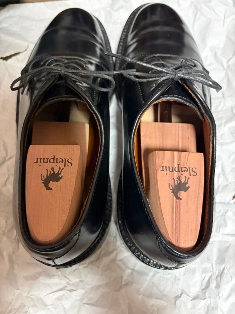 【週末限価格】【2025年12月購入】Alden 9901 コードバン　6.5D