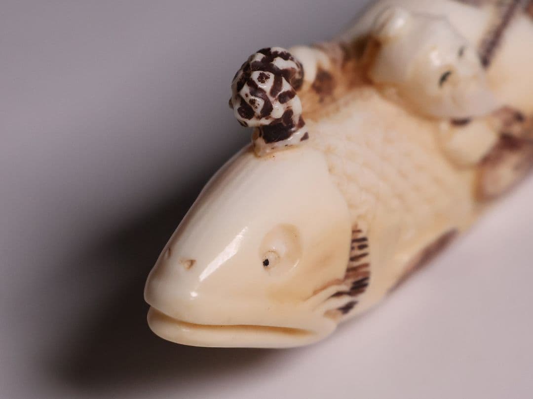 時代 堤物 根付 置物 天然素材 鯉乗寿老人 在銘 峰山 牙 彫刻【CM278