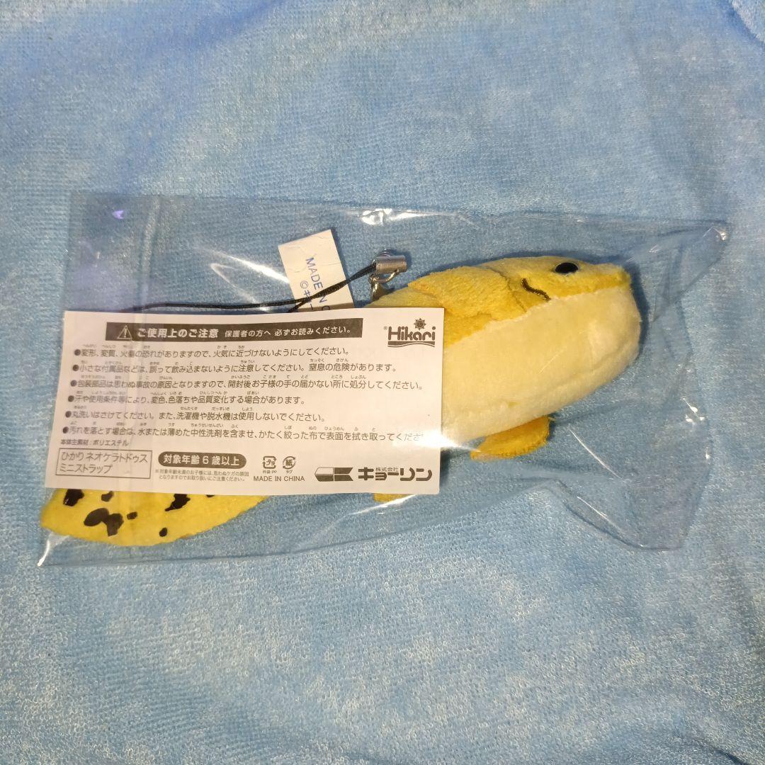 ✨当選✨ キョーリン ネオケラトドゥス ミニストラップ Hikari