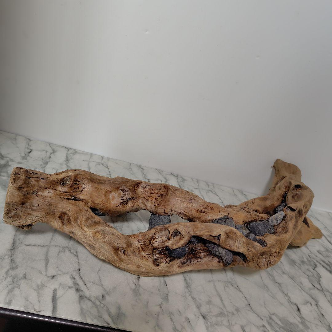 アク抜き済み流木【858】セール