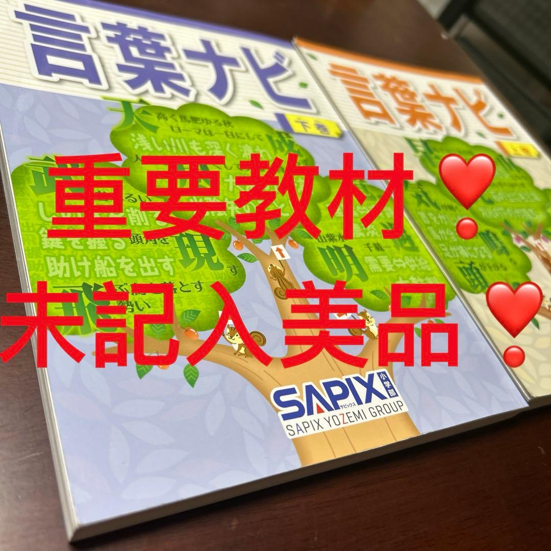 22-21や 重要教材 サピックス SAPIX 言葉ナビ 上巻・下巻