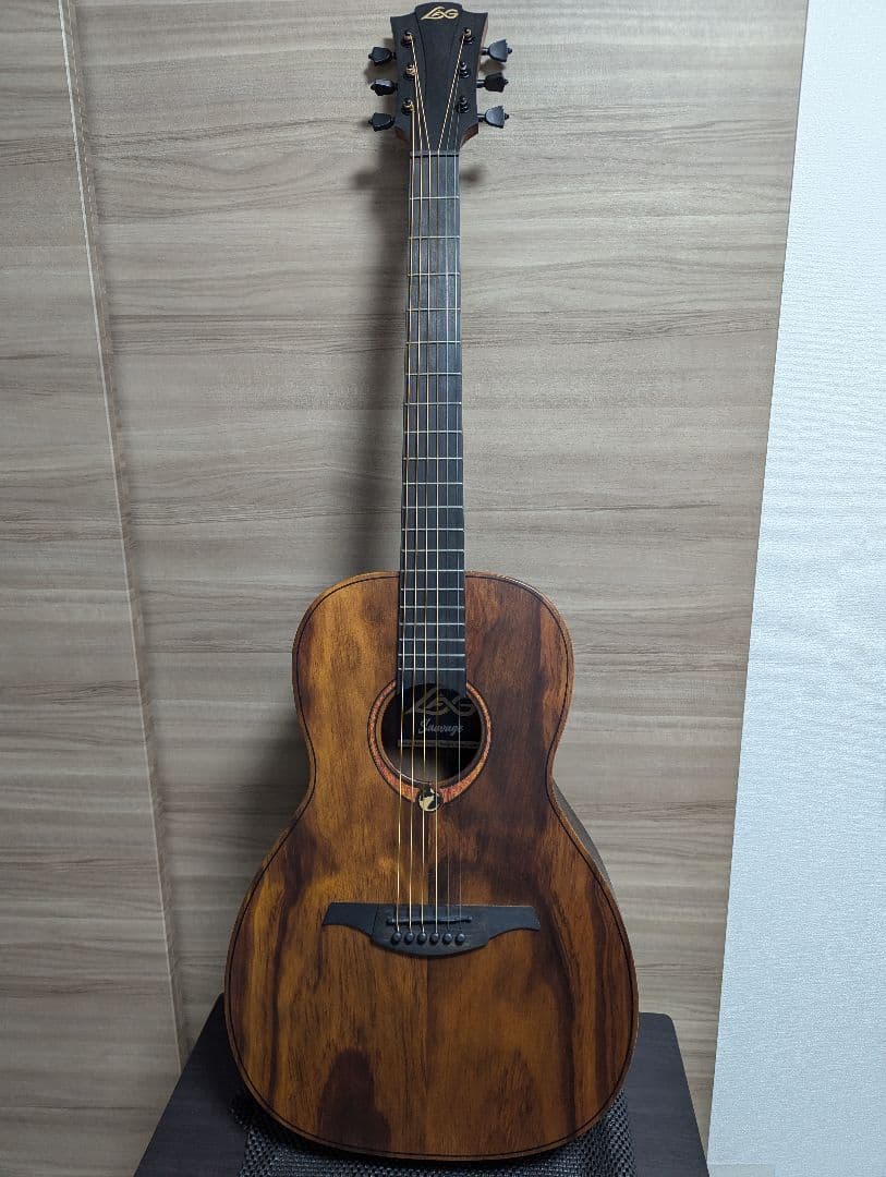 LAG GUITARS SAUVAGE-PE パーラーギター トップ単板