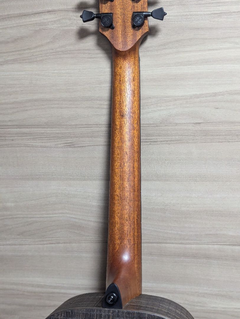 LAG GUITARS SAUVAGE-PE パーラーギター トップ単板