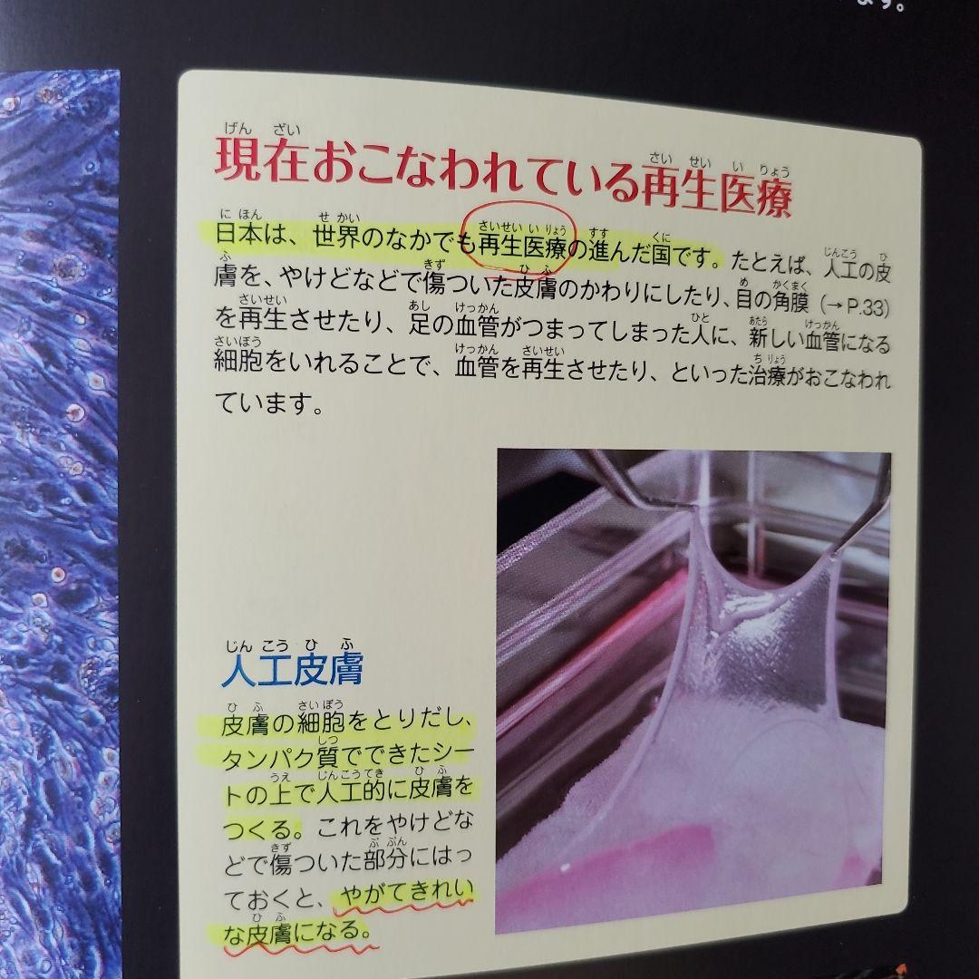 最終値下げ】男の子 絵本まとめ売り 乗り物絵本多 ミッケ！せんろは