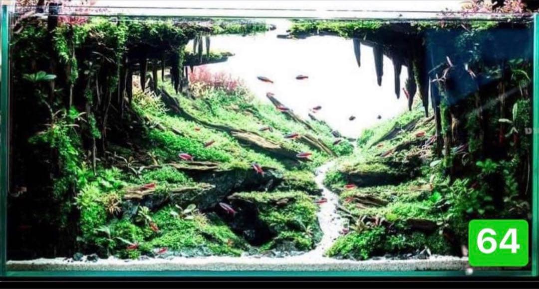 TTD 646【⭐︎ MO様⭐︎】【美品・数量限定】 Teenage Mutant Ninja Turtles 4人セットパッケージ |松岡ミチヒロ