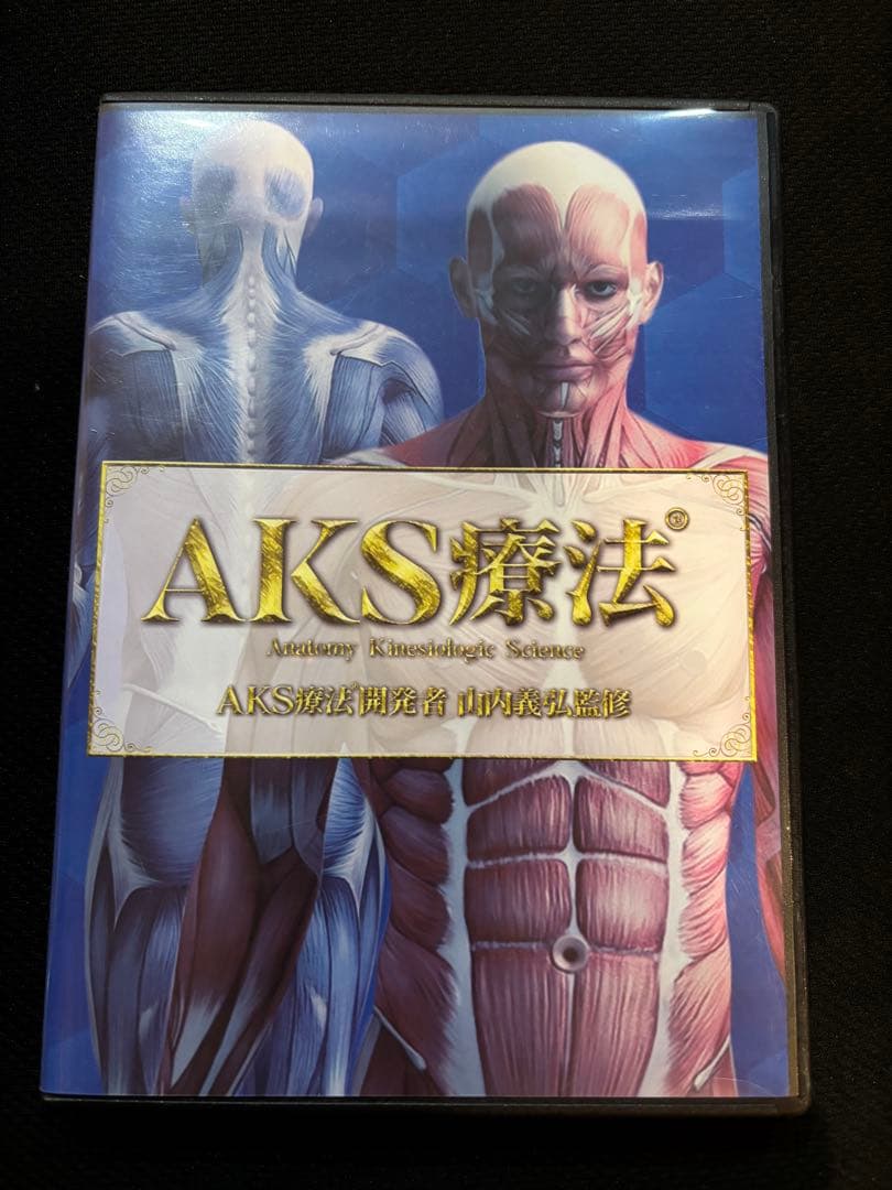 AKS療法 DVD6枚 シンデレラ‧リッチセラピスト養成講座の山内義弘先生