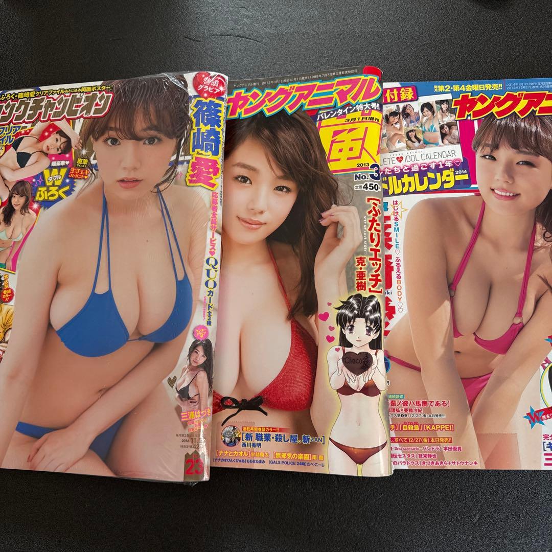 【ポアロ様•出品】 雑誌まとめ売り16冊