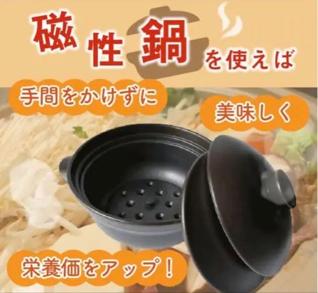 磁性鍋（電子レンジ専用鍋）Mサイズ 美品 電磁波カット 遠赤外線