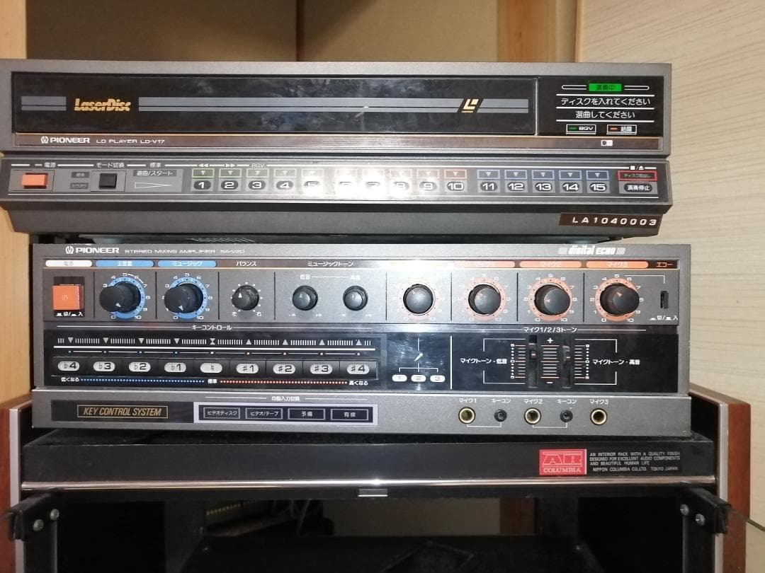 はらぺこあおむし様専用 DKレーザーディスク150枚 - メルカリ