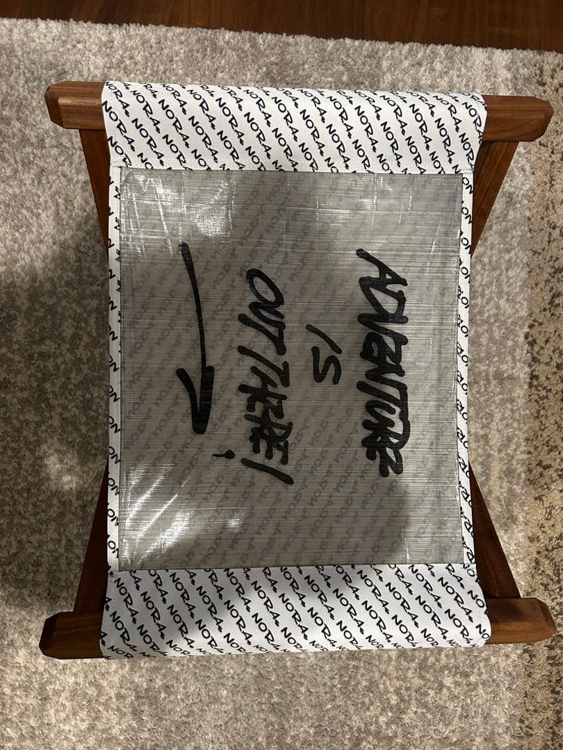 NORA's AIOTコラボ　チェア NORA's AIOTコラボ チェア NORA's AIOTコラボ チェア Secretlab Riot