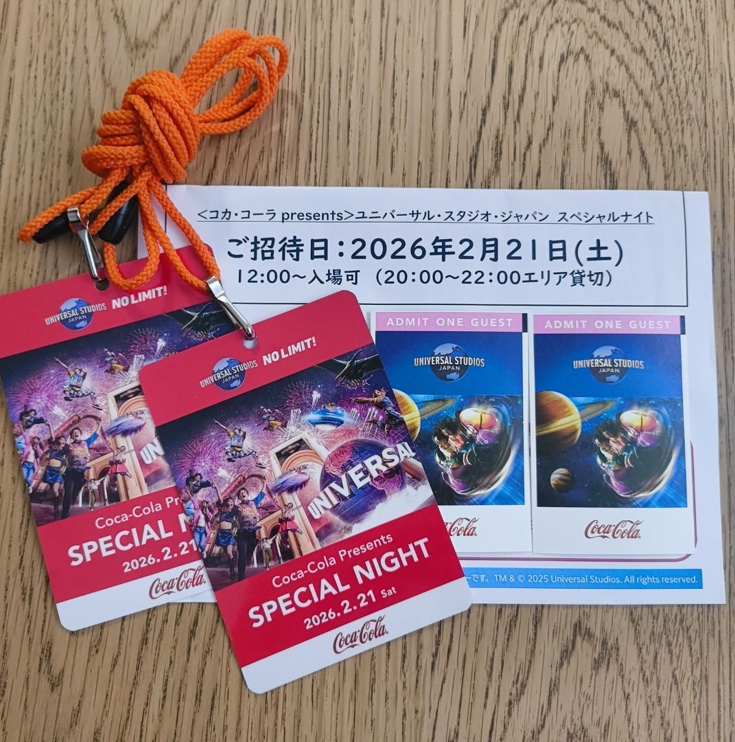 2/21 USJ ユニバーサルスタジオジャパン 貸切ナイト 2枚 - メルカリ