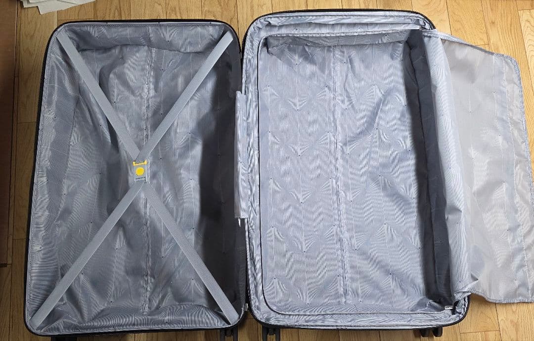 DELSEY PARIS Dune L デルセー スーツケース 約130L - メルカリ